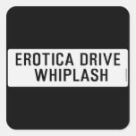 EROTICA DRIVE      WHIPLASH   Stickers