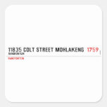 11835 Colt Street Mohlakeng   Stickers