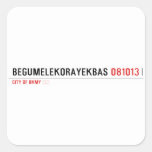 BEGUMELEKORAYEKBAS  Stickers
