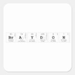 Braydon  Stickers
