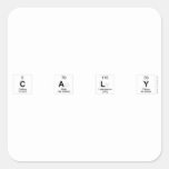C A L Y  Stickers