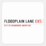 Floodplain lane  Stickers