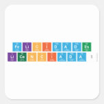 Felicidades
 licenciada!  Stickers
