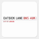 Catsick Lane  Stickers