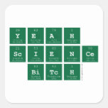 yeah
 science
  bitch  Stickers