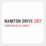 NAMTON DRIVE  Stickers