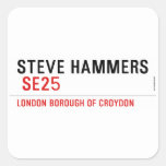 steve hammers   Stickers