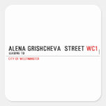ALENA GRISHCHEVA  STREET  Stickers