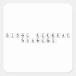 Critical Element
 TECHNOLOGY  Stickers