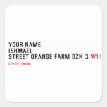 Your Name ishmael Street orange farm dzk 3  Stickers