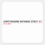 Carpetbagging Shithouse street  Stickers