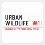 URBAN WILDLIFE   Stickers