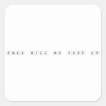 Drugs Will Ruin Your Life  Stickers