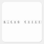 Science Rocks  Stickers