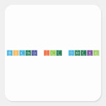 NisaHoca ile Fendekal  Stickers