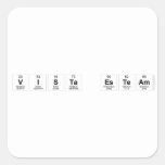 Vista esteam  Stickers