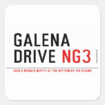 galena drive  Stickers