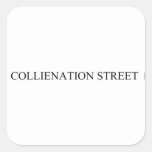 COLLIENATION STREET  Stickers