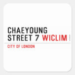 Chaeyoung Street 7  Stickers