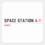 Space Station  Stickers