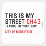 This is my  street  Stickers