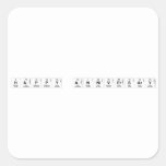 Happy Anniversary  Stickers