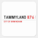 TAMMYLAND  Stickers