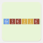 CAYDIID  Stickers