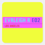 evrleigh r  Stickers