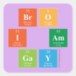 Bro
 I am
 Gay  Stickers