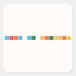 feria de ciencias  Stickers