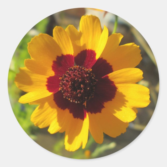 Stickers - Blanket Flower (Front)