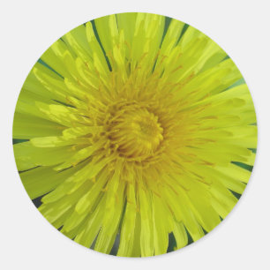 Stickers - Dandelion