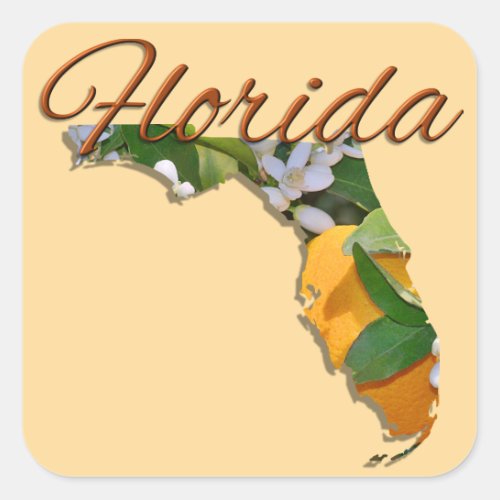 Stickers _ FLORIDA