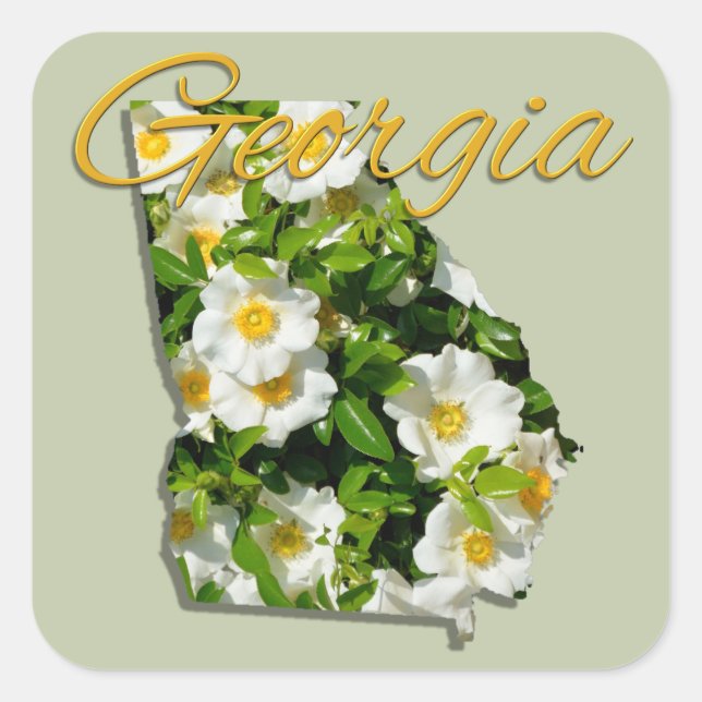 Stickers - GEORGIA (Front)