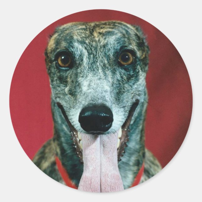 STICKERS Greyhound Sticker Brindle dog Lovers (Front)