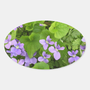 Stickers - Herb Violets