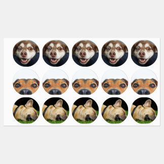 Stickers/labels with pictures of puppies labels