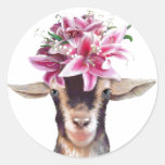 Stickers Lily the Goat