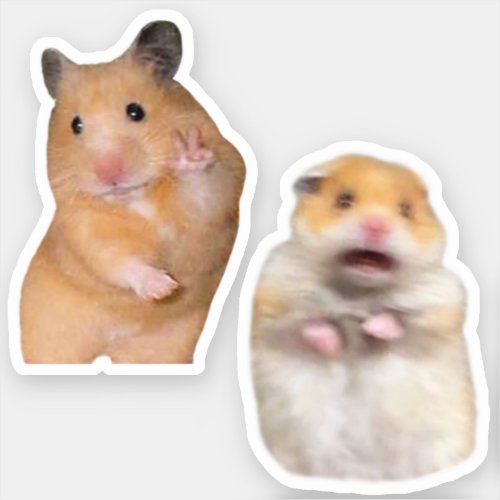 Stickers Peace  Scared Hamster Meme