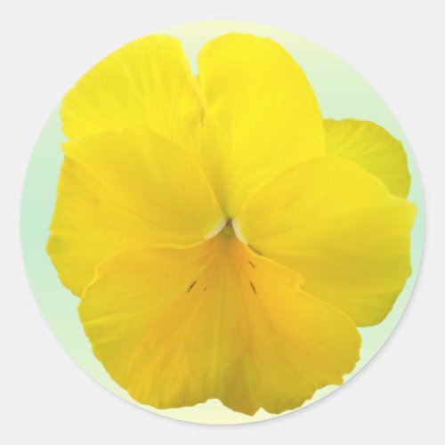 Stickers _ Pencilled Yellow Pansy