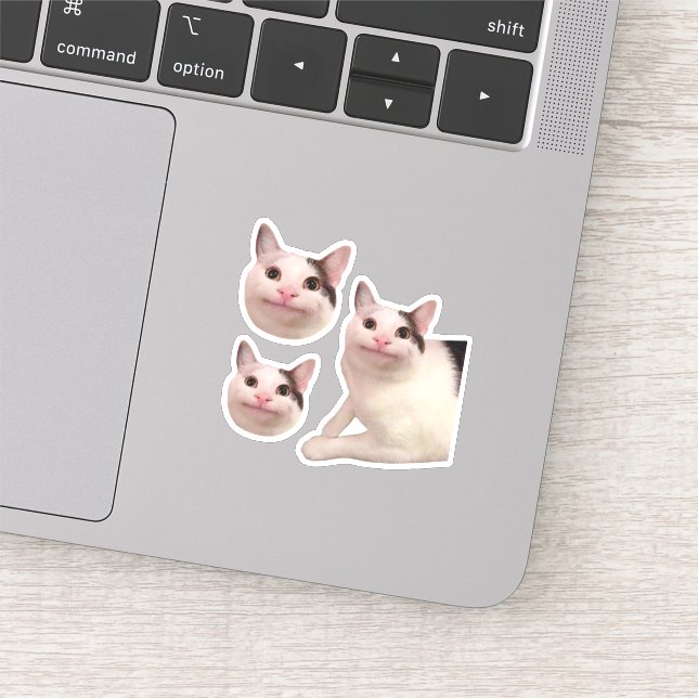 Polite cat meme, funny cat meme Sticker for Sale by ElevenGraphics