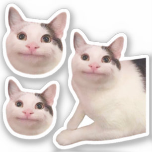 Stickers Polite Cat Meme