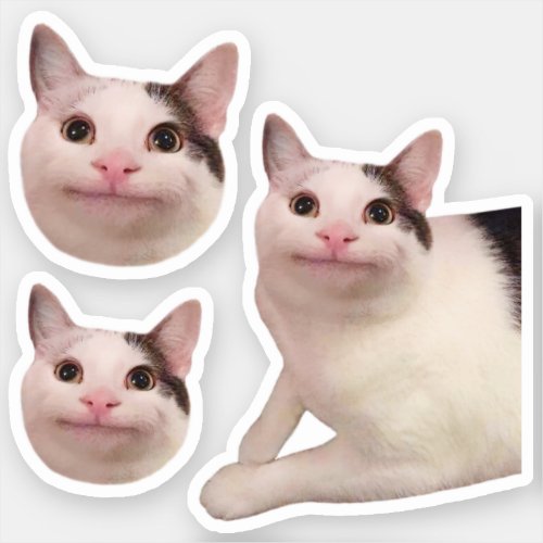 Stickers Polite Cat Meme