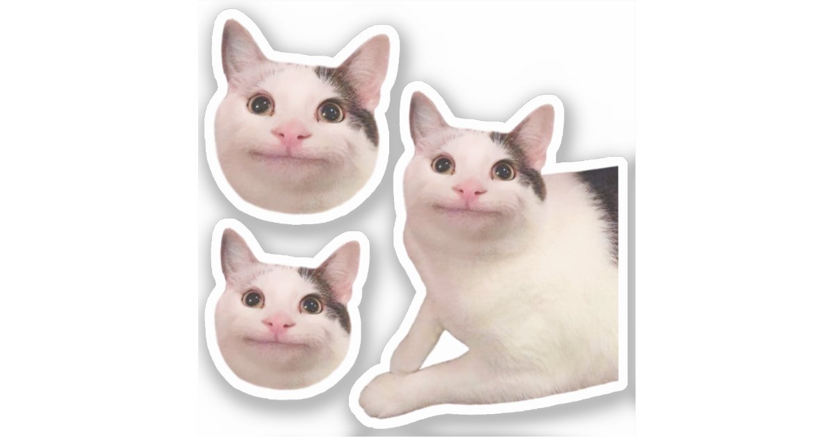 Beluga cat, Beluga Cat Meme, Meme Sticker for Sale by graphic