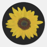 Stickers Round
