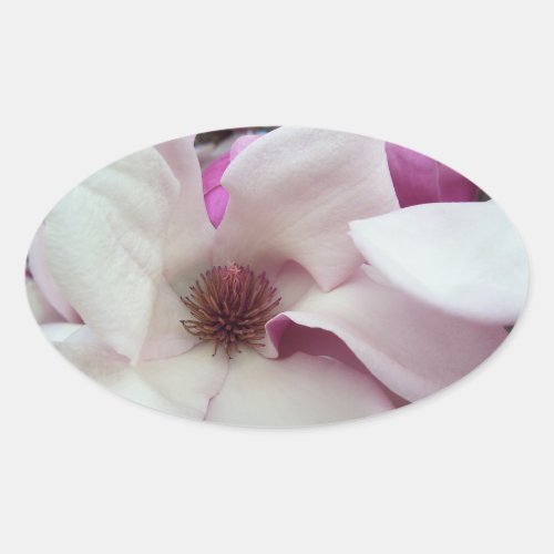 Stickers _ Saucer Magnolia Bloom