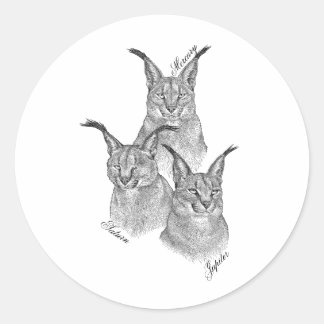 Stickers - The Planets