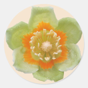 Stickers - Tulip Poplar Tulip on Cream