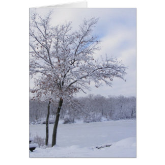 Sticky Snow 24 ~ card